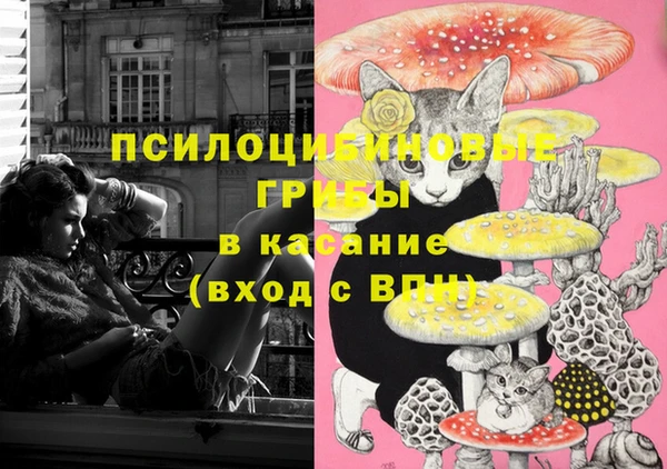 каннабис Аркадак